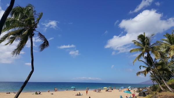 Fine Island Properties