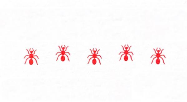 Price Termite & Pest Control