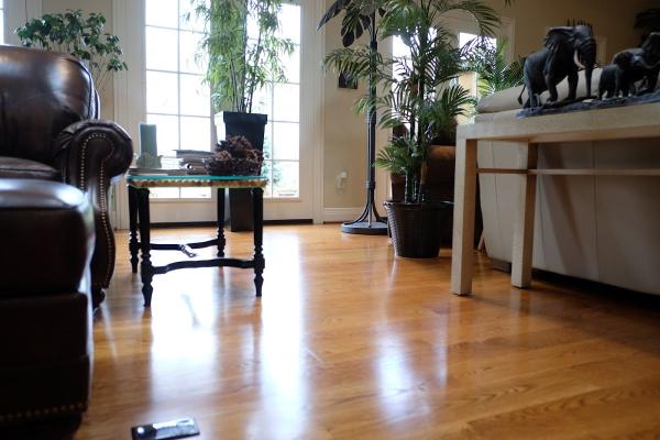 Superior Carpet Cleaning