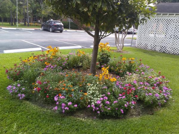 Lawn Management Company