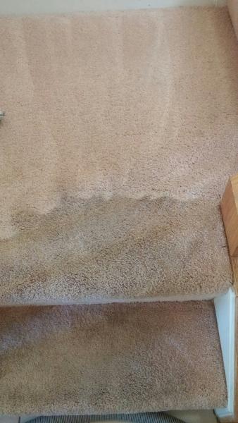 Curtis Fiber Cleaning