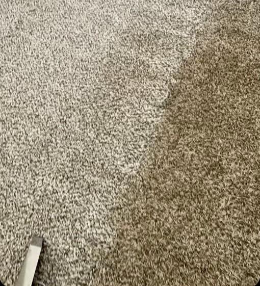 Coastal Carpet Care
