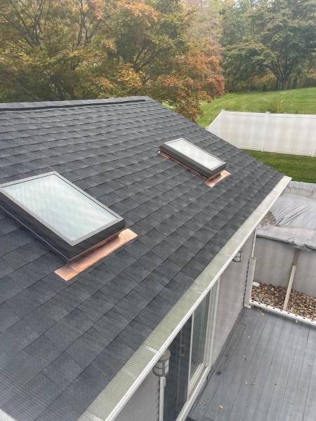 Flying Colors Roofing and Painters