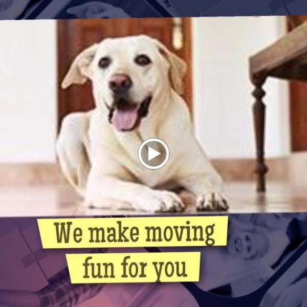 Sweet Lemon Moving Services