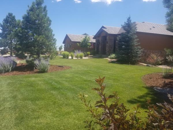 JS Enterprises Professional Custom Landscaping