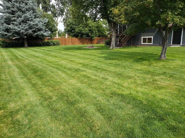 Lush Lawn Care Pros