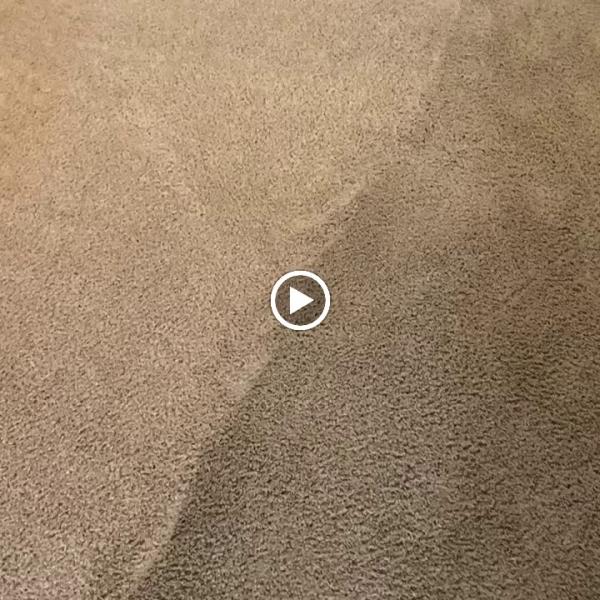 New Wave Carpet and Tile Care