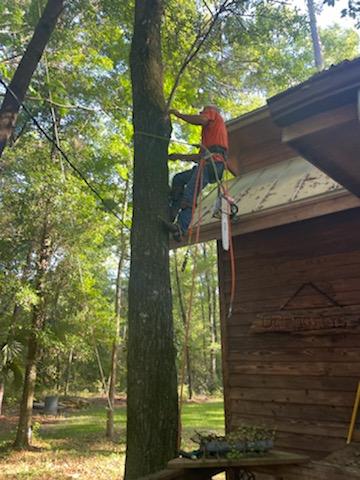 Mike Gibson Tree Service