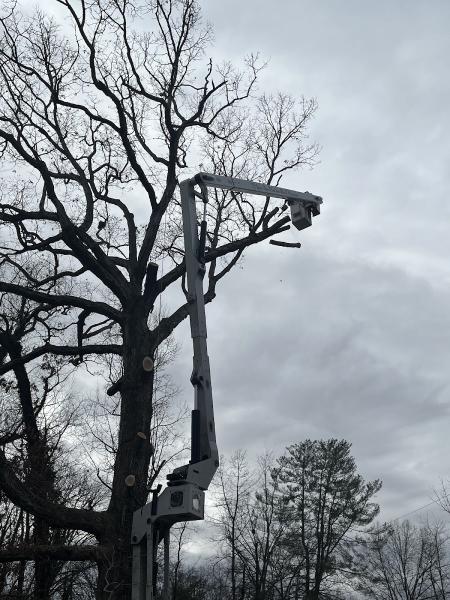 Newcomb Tree Service