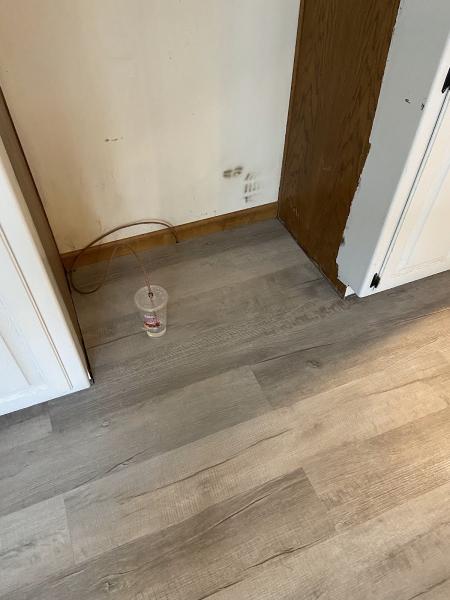 New Look Home Cleaning