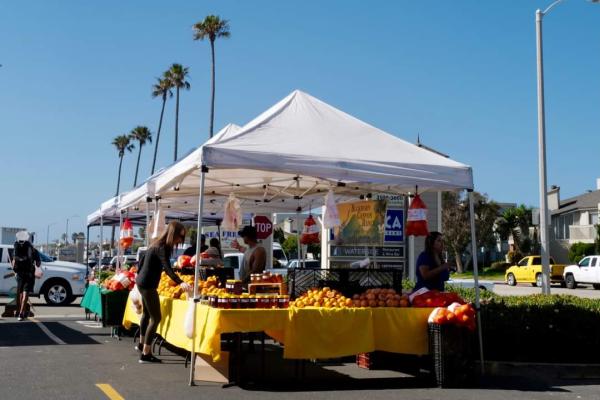 Channel Islands Real Estate