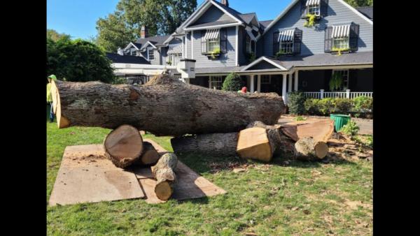 Cutting Edge Tree and Landscaping LLC