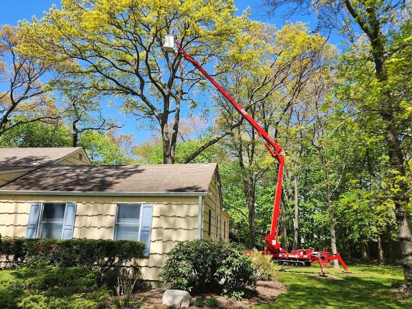 Cutting Edge Tree and Landscaping LLC