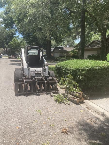 Mitchell's Tree Service