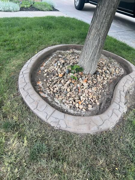 L & B's Concrete Landscape Borders