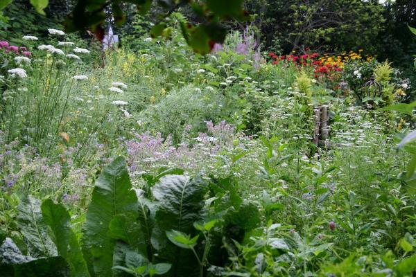 The Barefoot Gardener Inc