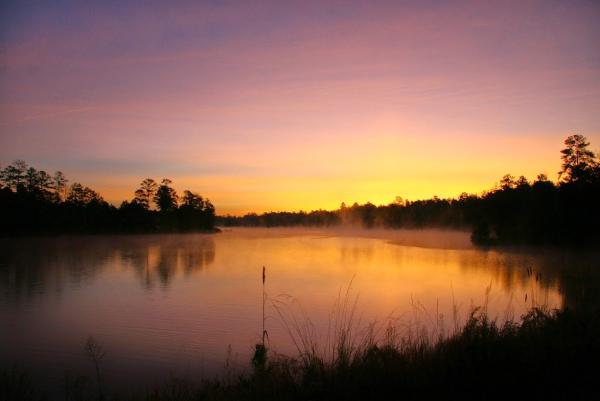 Lake Carolina Sales Center