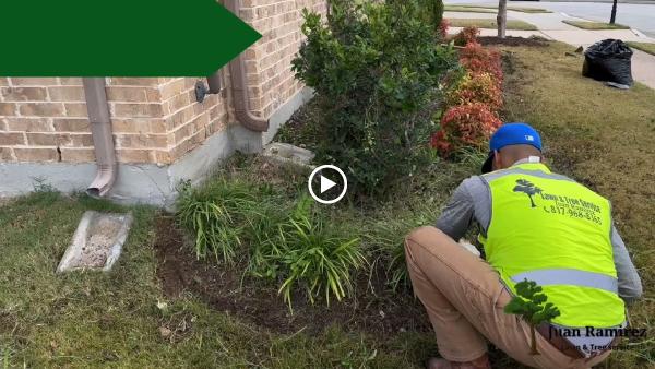 Tree Service Juan Ramirez