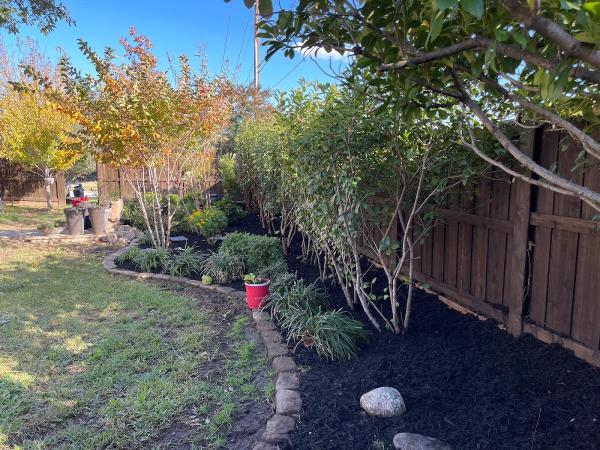 Tree Service Juan Ramirez