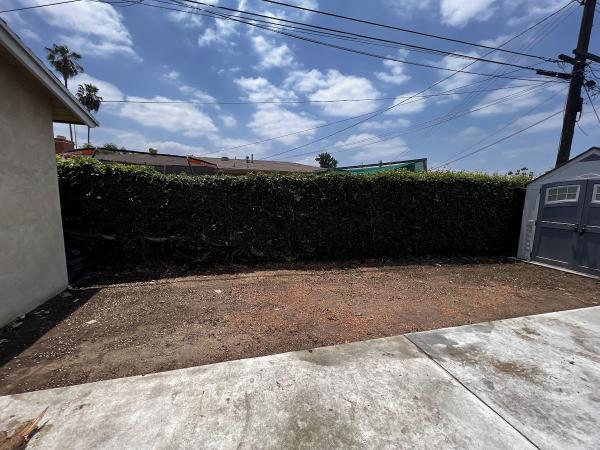 Cortez Tree Service and Landscaping