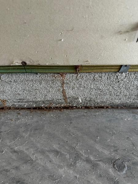 Premier Pest Management LLC