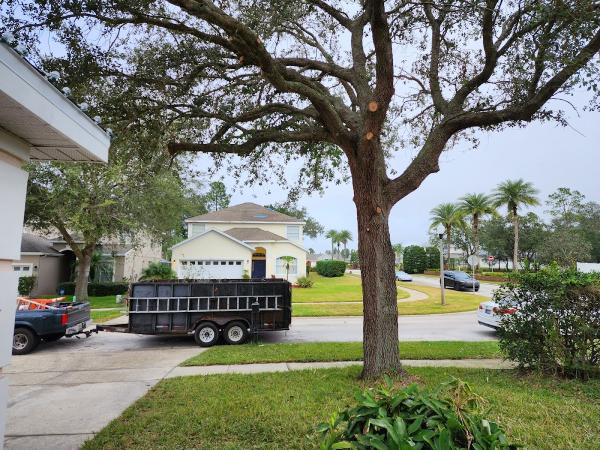 High Altitude Environmental Arborist