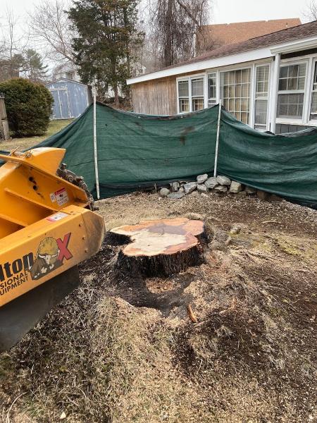 CT Stump Genie LLC