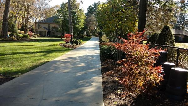 Calacci Landscaping