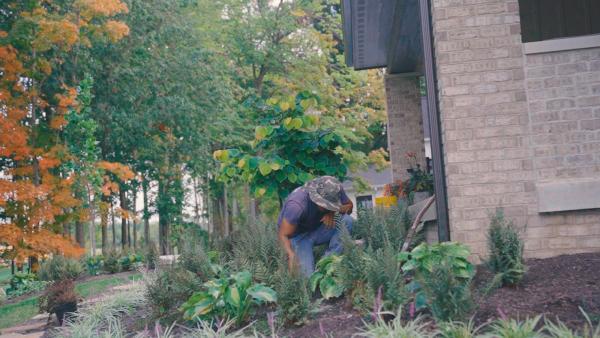 Proscape Property Maintenance