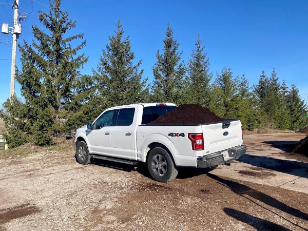 Raney Tree Care