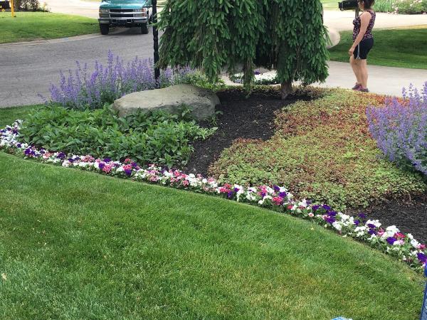 Advantage Landscape & Turf Management