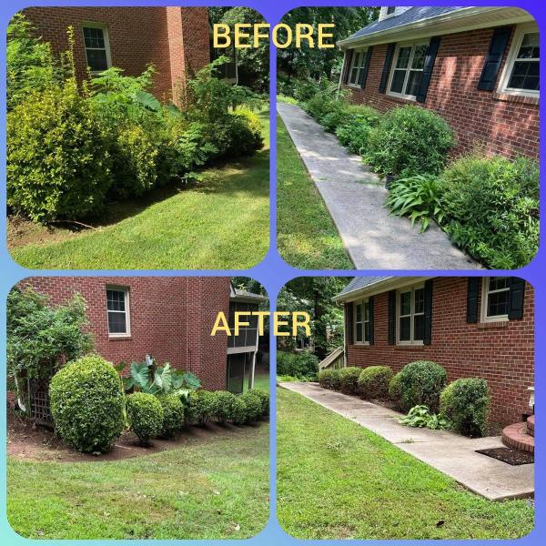 Alexander's Lawn Care & Garden