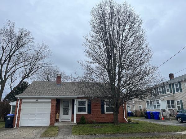 Curran Tree