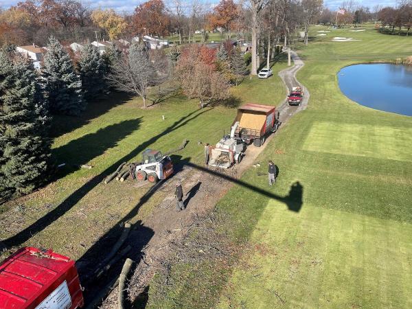 All State Tree and Lawn Services