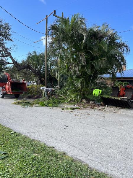 Gerard's Tree Service