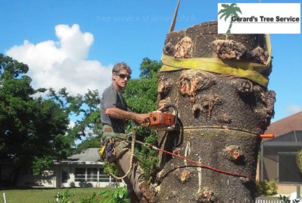 Gerard's Tree Service