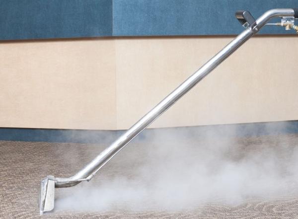 Steam Fresh Carpet Care