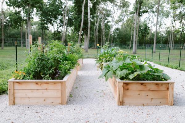 Katie Oglesby Garden Designer: Kitchen Garden Design House