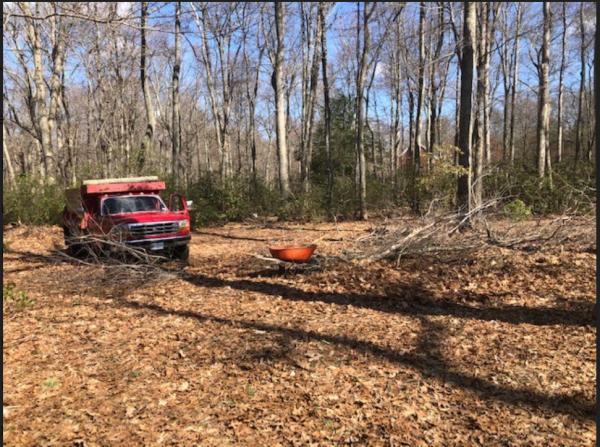 J.C. Property Service and Junk Removal