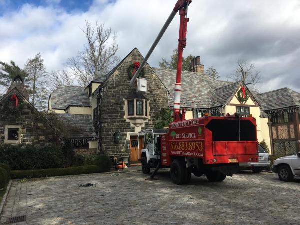 Danny DP Corp Tree Service