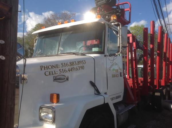 Danny DP Corp Tree Service