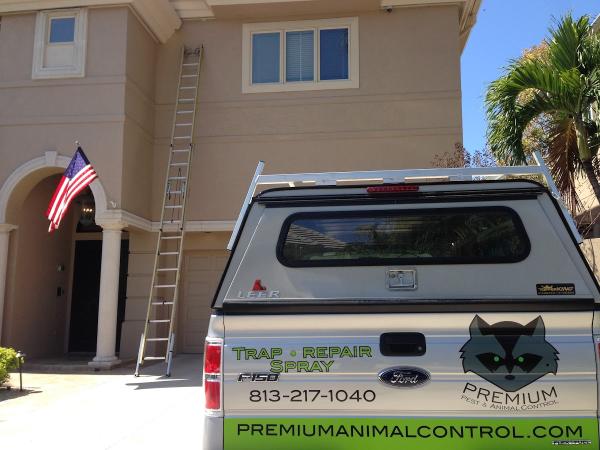 Premium Pest and Animal Control
