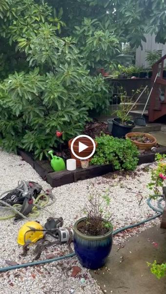 IFM Flores Landscaping Inc