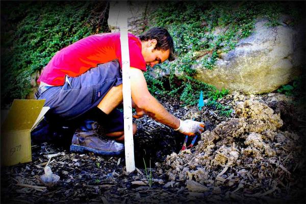 Sprinkler Master (Saint George
