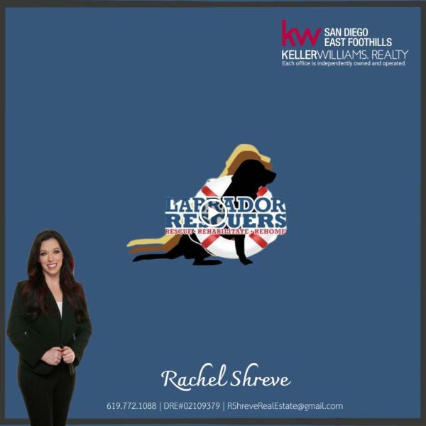 Rachel Shreve