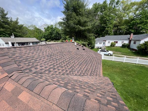 Di Paterio Contracting Inc.