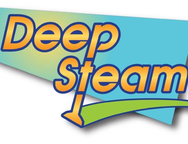 Deep Steam Carpet Care