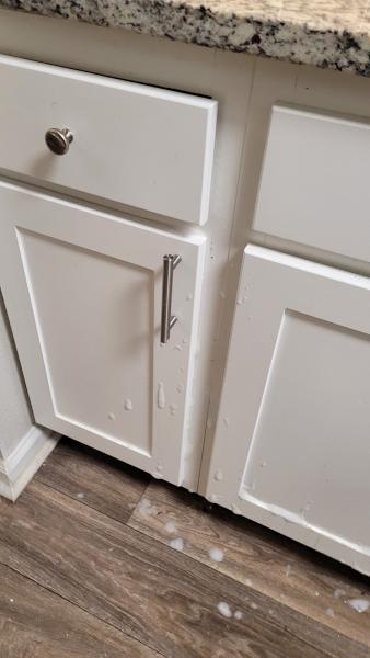 Sasha Cleaning Services GA