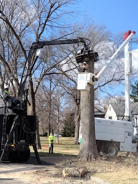Arborpro Tree Services. LLC