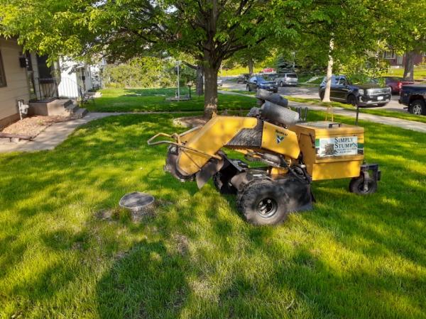 Simply Stump'n
